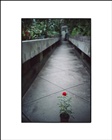 dailyPhoto20